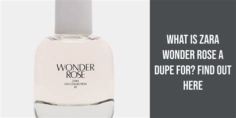 zara burberry dupe|zara wonder rose dupes.